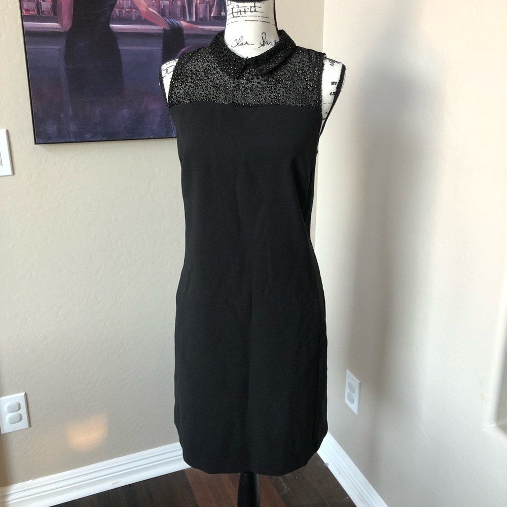 NWT Loft Dress